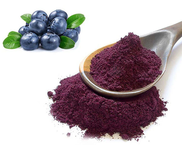 Blueberrie Liofilizado en Polvo