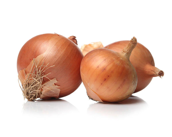 Cebolla Caramelizada en Polvo