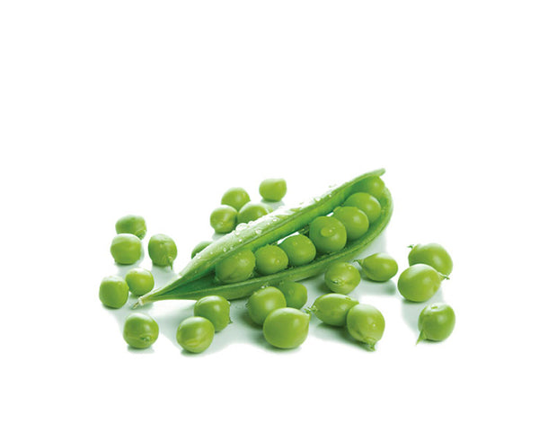 Proteína de Chícharo  – Fuente Vegetal Alta en Rendimiento Nutricional