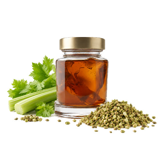 Oleorresina de Apio 33%