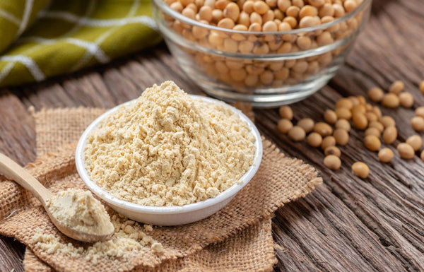 Harina de Soya Desgrasada – Proteína Funcional y Emulsionante Natural